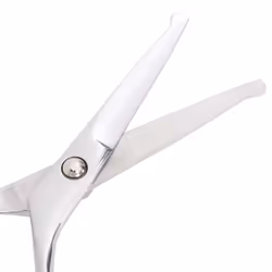 vidaXL 6 Piece Dog Grooming Scissors Set Stainless Steel dog grooming scissor - 4 pcs - Additional view 4