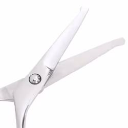 vidaXL 6 Piece Dog Grooming Scissors Set Stainless Steel dog grooming scissor - 7 pcs - Additional view 4
