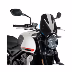 2021 2022 NEW For TRIDENT Trident 660 Motorcycle Windscreen For Trident660 - Black