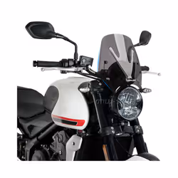 2021 2022 NEW For TRIDENT Trident 660 Motorcycle Windscreen For Trident660 - Black
