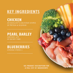 Lily's Kitchen Natural Adult Dog Food Wet Trays - Classic Dinners Multipack - Chicken, Lamb & Beef - Complete Meal Reci