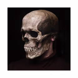 Halloween Mask Movable Jaw Full Head Skull Mask Halloween Decoration Horror - WHITE MASK