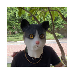 Fish Head Mask Carnival Masquerade Party Cosplay  Adult Real Latex Funny - Style 24