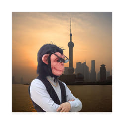 Monkey Mask Full Face Real Latex Mascara Animal Head Hood Halloween Carnival - Monkey mask 4