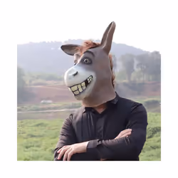 Rubber Duck Halloween Costume Cosplay Animal Latex Full Face Funny Masquerade - Donkey mask