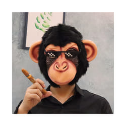Orangutan Plush Head Cover Animal Mask Full Face Cosplay Gorilla Monkey - Monkey mask 1