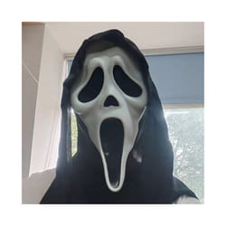Halloween Mask Scary Ghost Face Latex Mask Horror Killer Full Head Masks - x24057