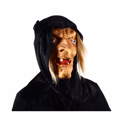 Scary Old Witch Mask Latex With Hair Halloween Fancy Dress Party Adult - mask