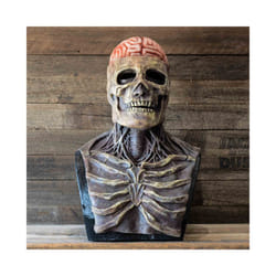 Halloween Full Head Skull Mask With Brain Horror Skeleton Masks Scary - mask