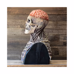 Halloween Full Head Skull Mask With Brain Horror Skeleton Masks Scary - mask
