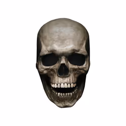 Full Head Skull Mask Carnival Adults Realistc Anonymous Halloween Moveable - Beige