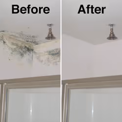 2 x HG Mould Remover Foam Spray - 500ml