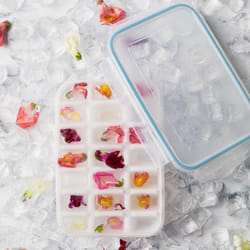 Snappy SN-E10 food storage container 1 pc(s)