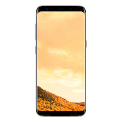 Samsung Galaxy S8 SM-G950FD 14.7 cm (5.8") Dual SIM Android 7.0 4G USB Type-C 4 GB 64 GB 3000 mAh Gold