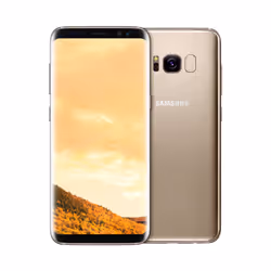 Samsung Galaxy S8 SM-G950FD 14.7 cm (5.8") Dual SIM Android 7.0 4G USB Type-C 4 GB 64 GB 3000 mAh Gold