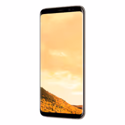 Samsung Galaxy S8 SM-G950FD 14.7 cm (5.8") Dual SIM Android 7.0 4G USB Type-C 4 GB 64 GB 3000 mAh Gold