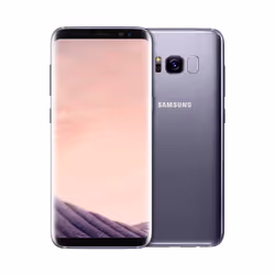 Samsung Galaxy S8 SM-G950FD 14.7 cm (5.8") Dual SIM Android 7.0 4G USB Type-C 4 GB 64 GB 3000 mAh Grey