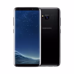Samsung Galaxy S8 SM-G950FD 14.7 cm (5.8") Dual SIM Android 7.0 4G USB Type-C 4 GB 64 GB 3000 mAh Black