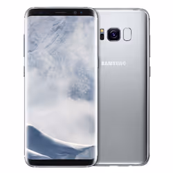 Samsung Galaxy S8 14.7 cm (5.8") Single SIM Android 7.0 4G USB Type-C 4 GB 64 GB 3000 mAh Silver