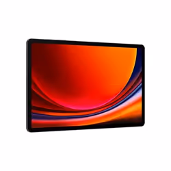 Samsung Galaxy Tab S9+ SM-X816B 5G Qualcomm Snapdragon 256 GB 31.5 cm (12.4") 12 GB Wi-Fi 6 (802.11ax) Android 13 Graphite - Additional view 4