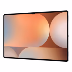 Samsung Galaxy Tab S10 Ultra 5G LTE-TDD & LTE-FDD 256 GB 37.1 cm (14.6") 12 GB Wi-Fi 7 (802.11be) Platinum, Silver - Additional view 5