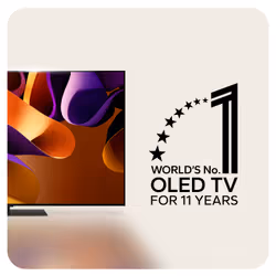 LG OLED65G46LS.AEK TV 165.1 cm (65") 4K Ultra HD Smart TV Wi-Fi Silver - Additional view 8