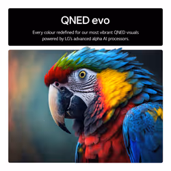 LG 100QNED86A6.AEK TV 2.54 m (100") 4K Ultra HD Smart TV Wi-Fi Metallic - Additional view 7