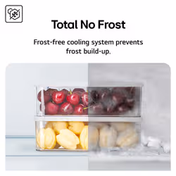 LG GBBSJ10EEP Fridge freezer bottom-freezer 333 L Black class E No Frost - Additional view 6