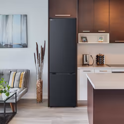 LG GBBS524CEV fridge-freezer Freestanding 375 L C Black - Additional view 2