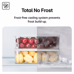 LG GBBS524CEV fridge-freezer Freestanding 375 L C Black - Additional view 8
