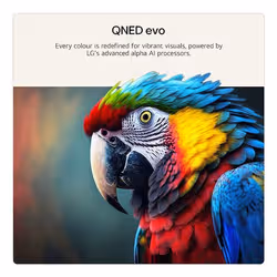 LG QNED AI 75QNED87B6A TV 139.7 cm (55") 4K Ultra HD Smart TV Wi-Fi Black - Additional view 6