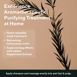 Tea Tree Purifying Tonic 3.38oz, Paraben, Silicone, Sulfate Free | Vegan | Soothing & Cooling Tonic for your scalp | Helps hair look healthier and