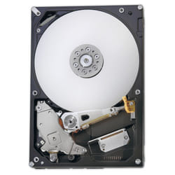 IBM 1000GB SAS 3.5&quot; internal hard drive 1 TB 7200 RPM 3.5&quot;