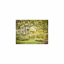 Gardman A05618 No Grow Seed Mix for Wild Birds - 12.75kg