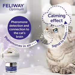 Feliway Optimum 30 Day Refill | 48ml Feliway Optimum Refill For Plug In Anxiety Relief Pheromone Diffuser For Cat