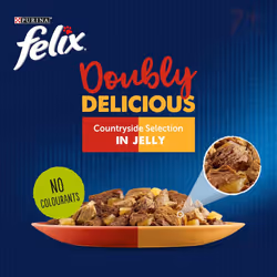 Felix Doubly Delicious Meat Cat Food 120x100g