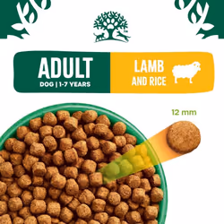 James Wellbeloved Adult Lamb and Rice 15 kg Bag, Hypoallergenic Dry Dog Food