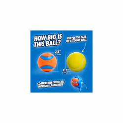 Ultra Ball Dog Toy, Durable High Bounce Floating Rubber Dog Ball, Launcher Compatible Toy For Dogs, Medium (Pack of 2)