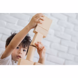 PlanToys 50 Unit Blocks