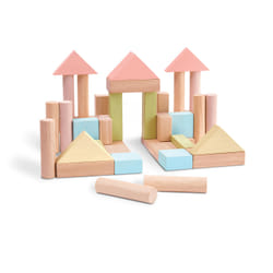 PlanToys 40 Unit Blocks
