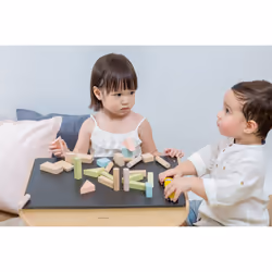 PlanToys 40 Unit Blocks