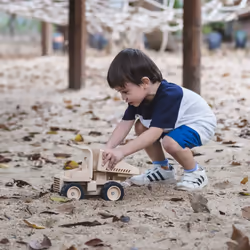 PlanToys Dump Truck