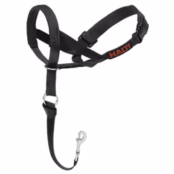 Company of Animals Halti Head Collar for Dogs - Size 2