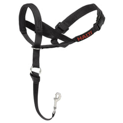 Company of Animals Halti Head Collar for Dogs - Size 2
