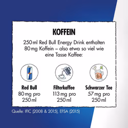 Red Bull Energy Drink 250 ml x12 Vitalizes body and Mind