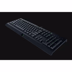 Razer Cynosa Lite keyboard Gaming USB Black
