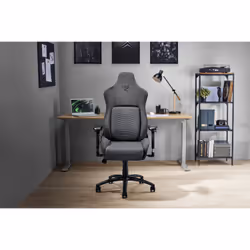 Razer Iskur Universal gaming chair Padded seat Grey