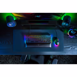 Razer BlackWidow V4 keyboard Gaming USB AZERTY French Black - Additional view 2