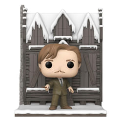 Funko Harry Potter Chamber Of Secrets Anniversary POP! Deluxe Vinyl Figure Hogsmeade Shrieking Shack With Lupin - 9 CM