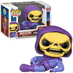 Skeletor (Meme) Masters of the Universe Funko Pop! TV Vinyl Figure